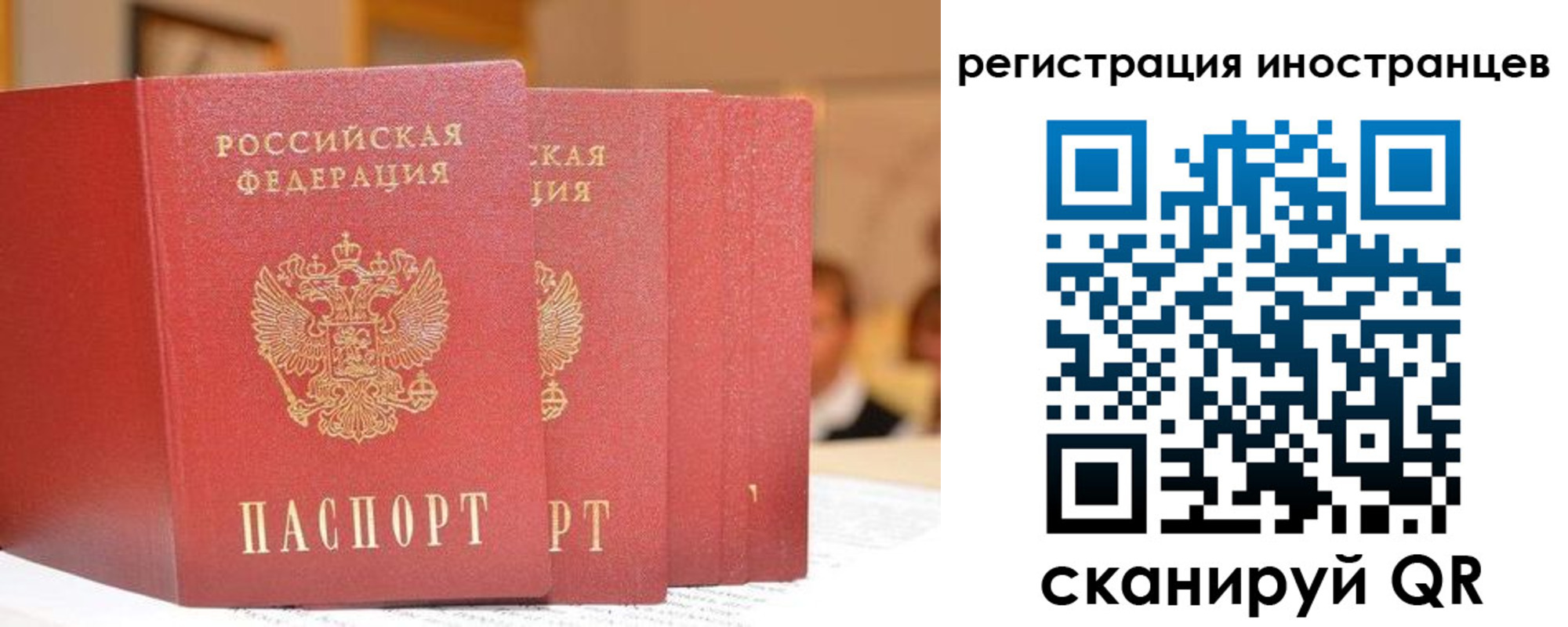 где прописаться в Могочи